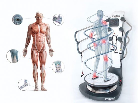 Physiologie-de-l-equilibre
